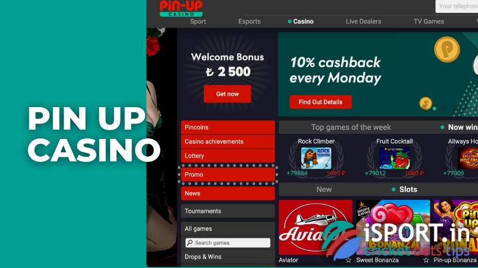 casino pin up online casino pin up online